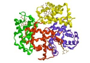 Mehr über den Artikel erfahren Bioanorganische Chemie